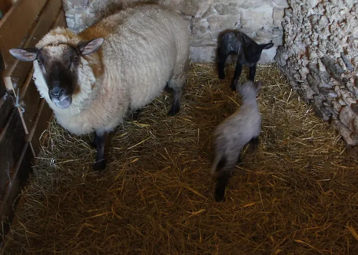 Feriehus La Courtoise 